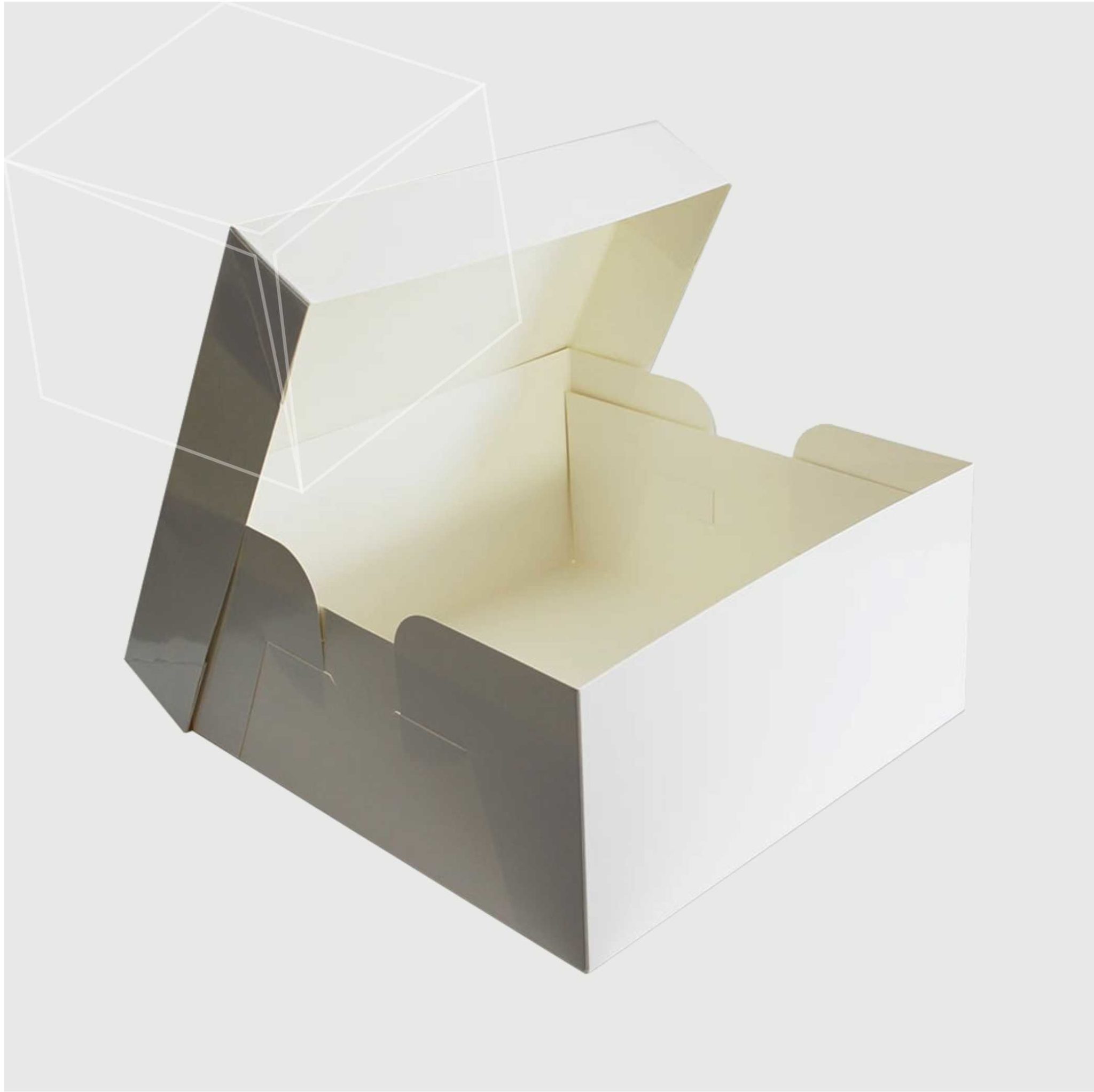 Folding Box - Indian Printers